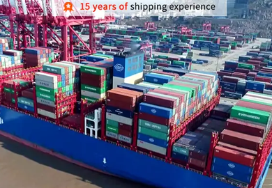 freight forwarder