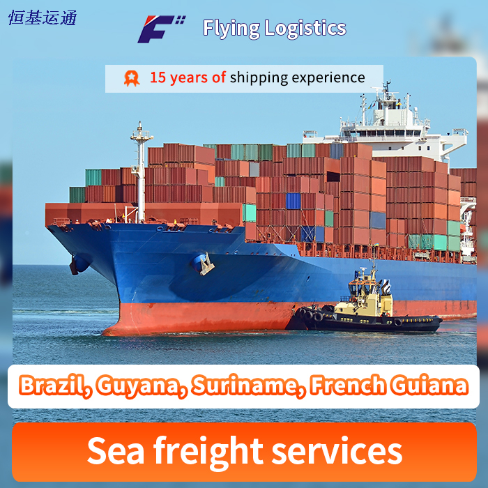 Freight Forwarder/Shipping Agent/Sea Freight Shipping/Air Shipping/Express From China to Brazil, Guyana, Suriname, French Guiana