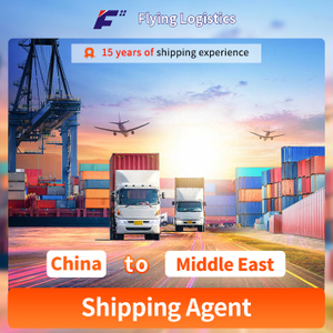 Shipping Agent Service/ Logistics Service / Shipping Freight Forwarder From China to Middle East Ports