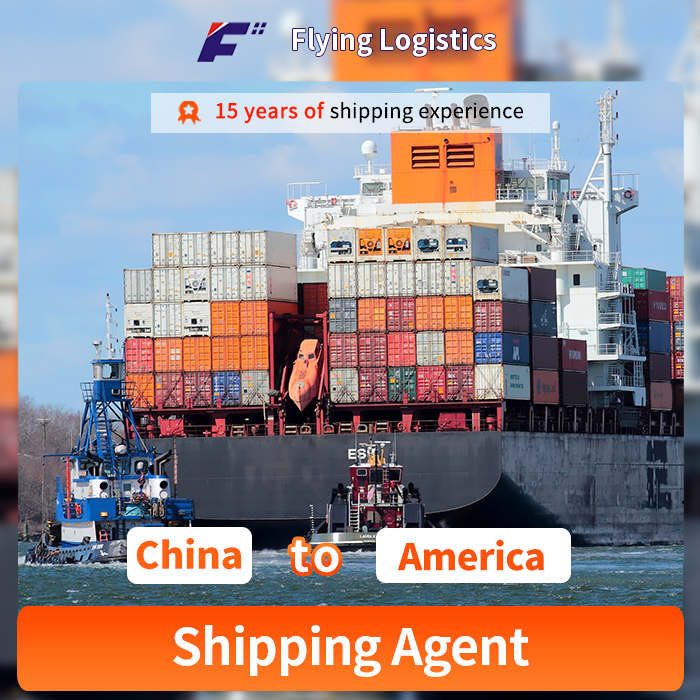  LCL FCL Sea Shipping Freight From China to The United States DDP USA America Logistics Services