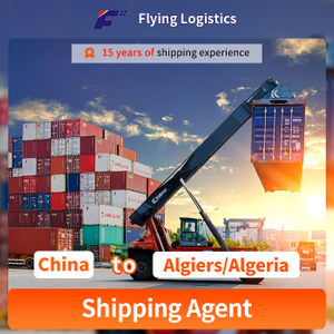 Logistics DDP Services Sea Freight To Algiers/Algeria Worldwide with Shenzhen Shipping Agent