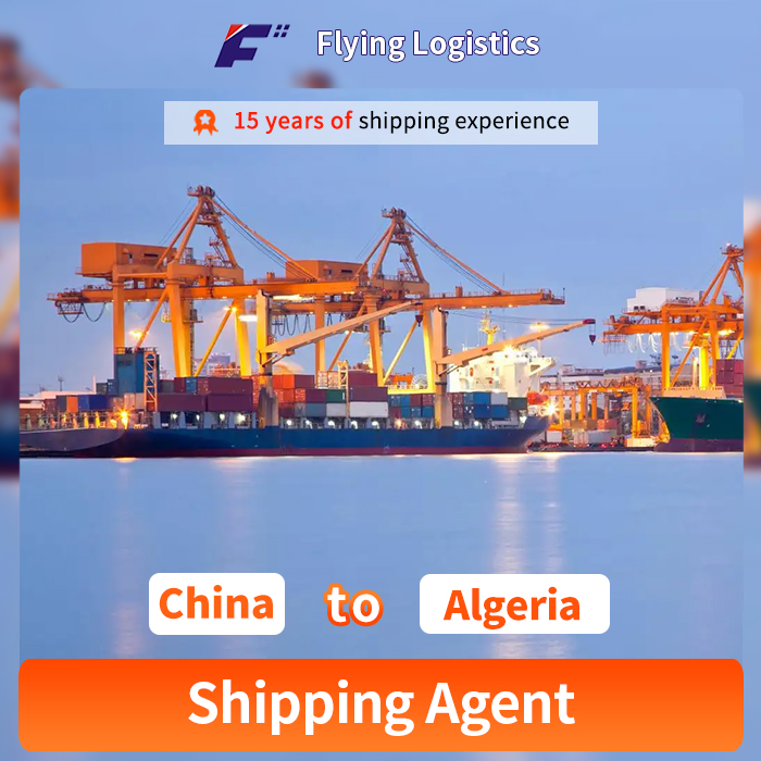 Drop shipping service from China to Algeria by sea freight 1688 logistics ems shipping price international forwarder