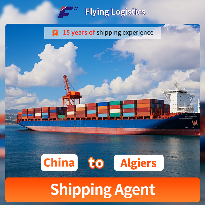 Ocean Sea Freight LCL Ship to Algiers From China Shipping Agent Freight Forwarder Logistics Service