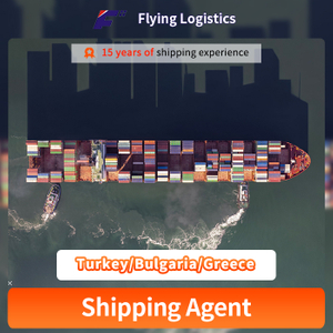 Sea/Air/Railway Freight Shipping From China To Turkey/Bulgaria/Greece Sea Shipment Logistics Service