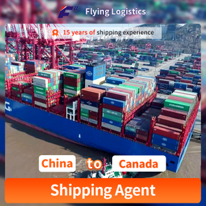 Sea Freight From Shenzhen to Canada International Logistcs DDU/DDP Services