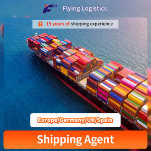 International Logistics Service Door to Door Air Freight Sea Shipping Agent From China to Europe/Germany/UK/Spain