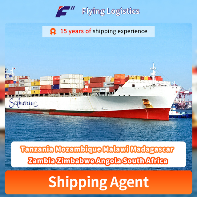 Sea Shipping Cargo Express From China To Tanzania Mozambique Malawi Madagascar Zambia Zimbabwe Angola South Africa Logistics Transport Cargo Agencies Service