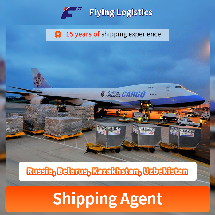 How Can Professional Freight Forwarder Services Revolutionize Global Logistics