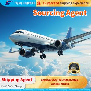Express，Air Freight Sea Shipping DDP Service Freight Forwarder Shipping Agent To America/USA/The United States, Canada, Mexico